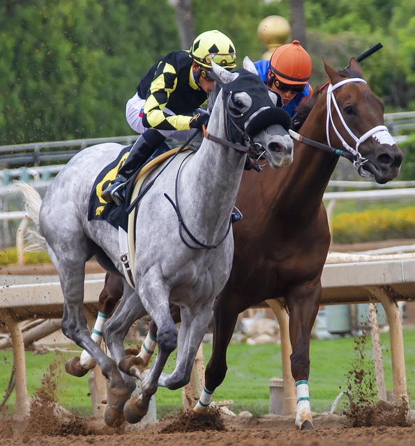 本赛季加盟 本赛季加盟